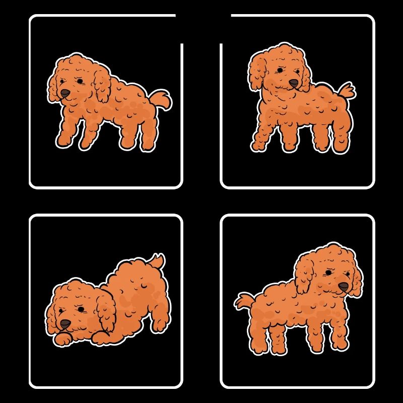 Caniche Chien Nain Caniche Jouet Caniche Petit Caniche Chiot Chiot