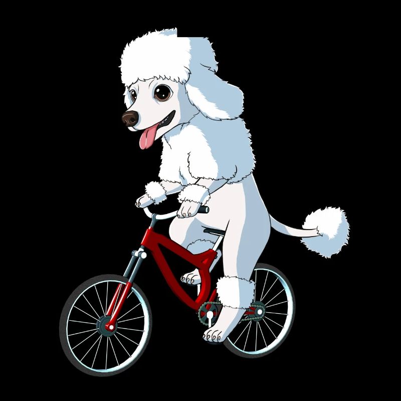 Chien caniche sur un vélo