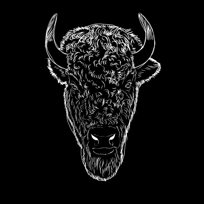 Bison