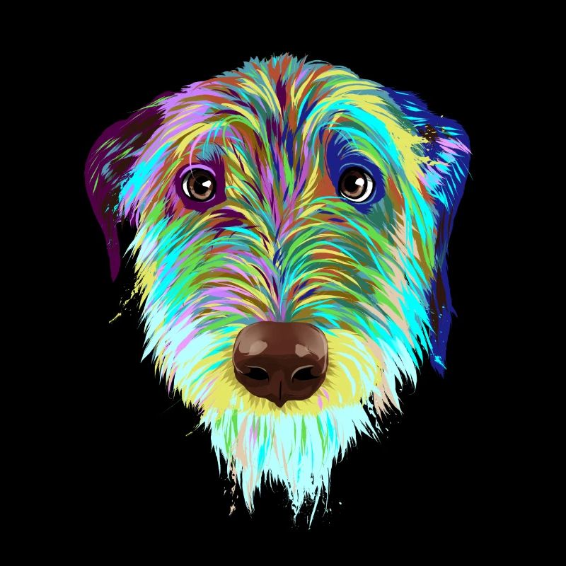 Splash Irischer Wolfshund Hund