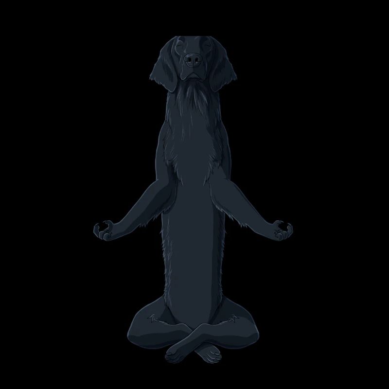 Meditating Flat Coated Retriever Dog