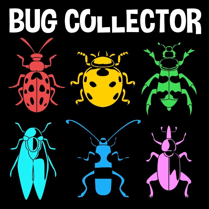 Insecte