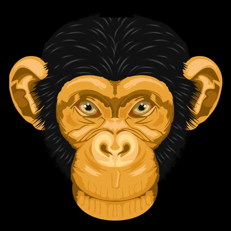 Affe Schimpanse Äffchen