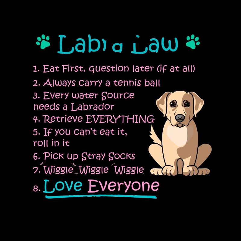 Labra-Law Funny Labrador, Idée cadeau Labrador pour L