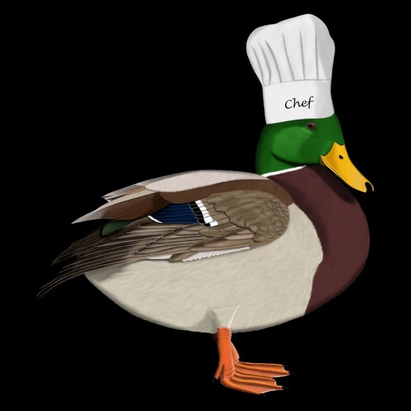 Duck Chef Chef Kitchen Bird Watcher