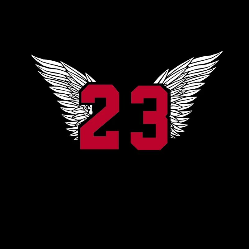 Basket numéro 23 Michael Jordan