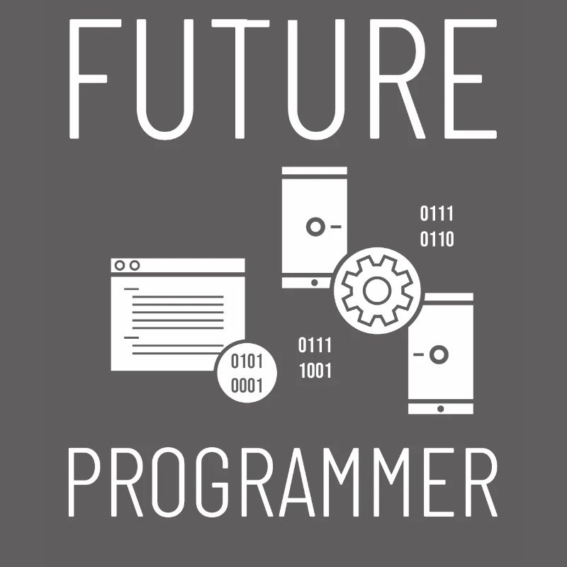 Programmeur Programmation Ordinateur Développeur Pc