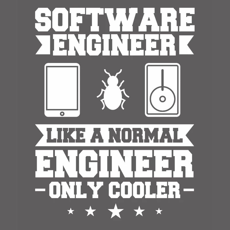 Software Engineering Software Engineering Engineer