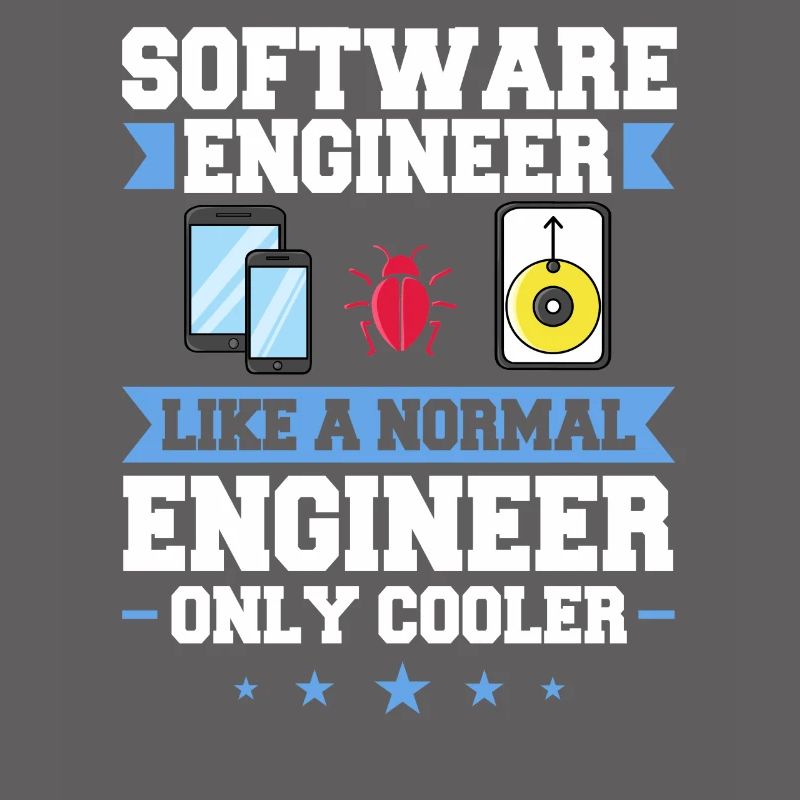 Software Engineering Software Engineering Engineer