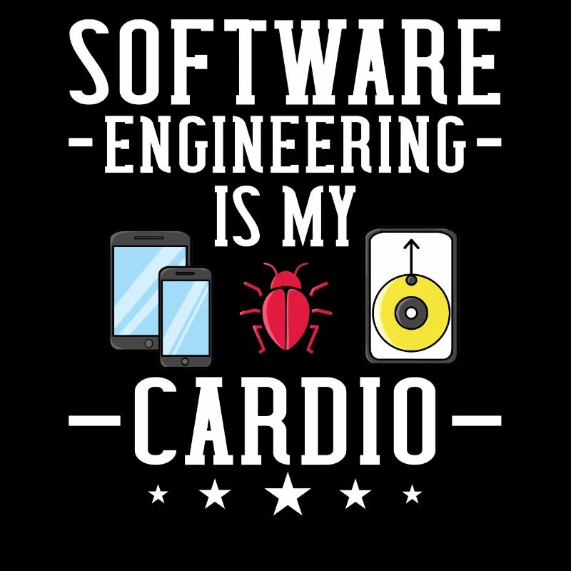 Software Engineering Softwaretechnik Ingenieur