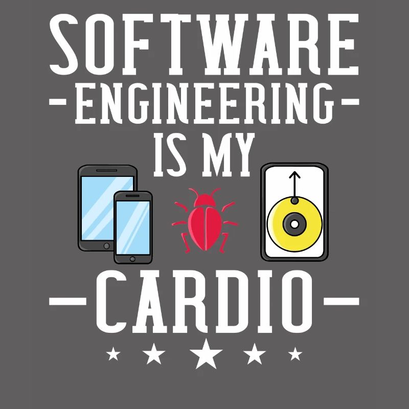 Software Engineering Softwaretechnik Ingenieur