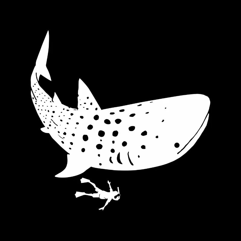 Plongée avec les requins baleines Graphique requin baleine