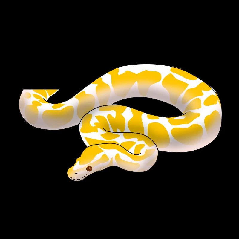 Albino Königspython Python regius ballpython motiv