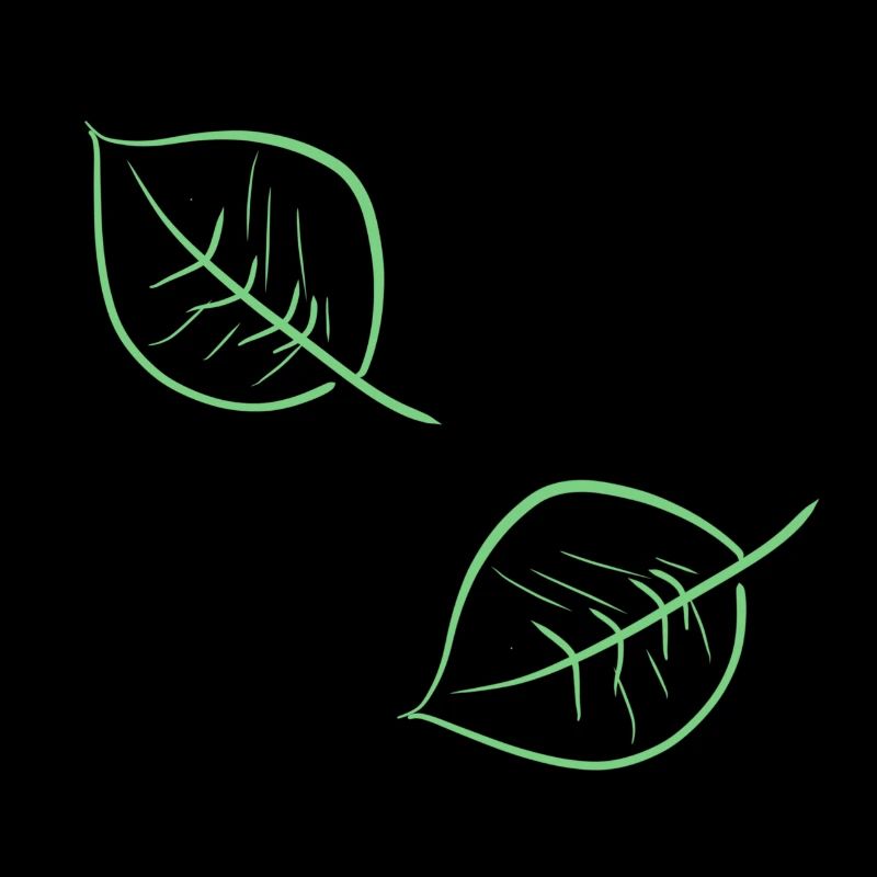 leaves tree
