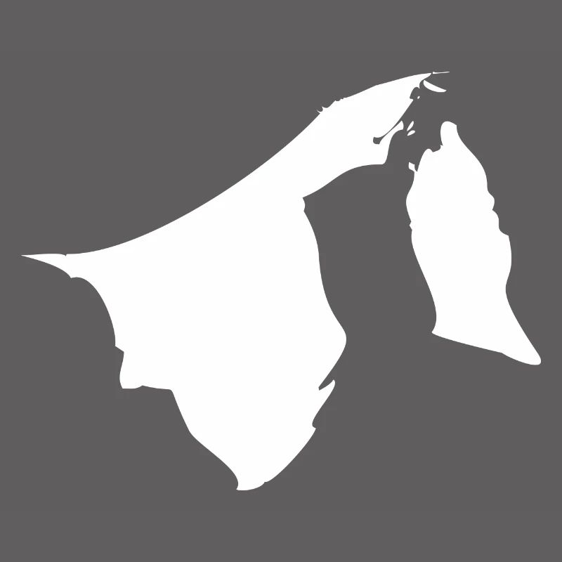 Drapeau de carte de Brunei