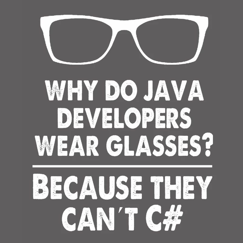Developer Java