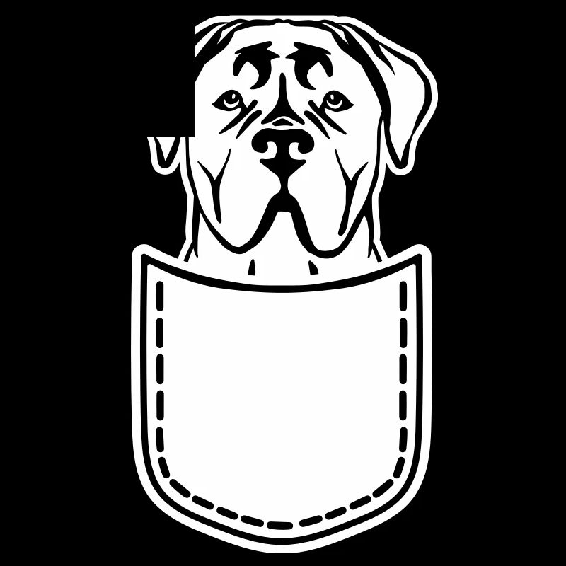 Cane Corso