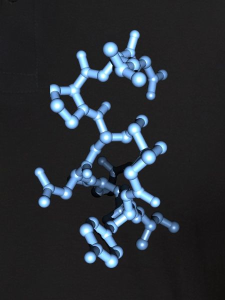 Hormone ocytocine