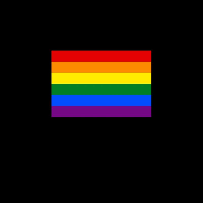 Drapeau arc en ciel bannière CSD LGBT tolérance colorée