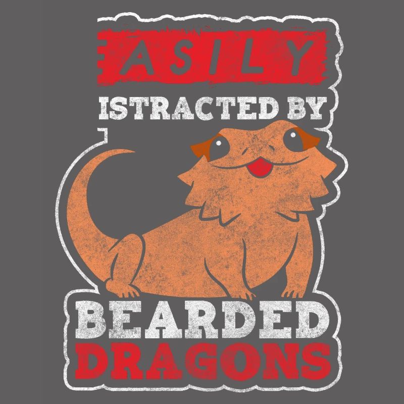 Echse Echsen Eidechse