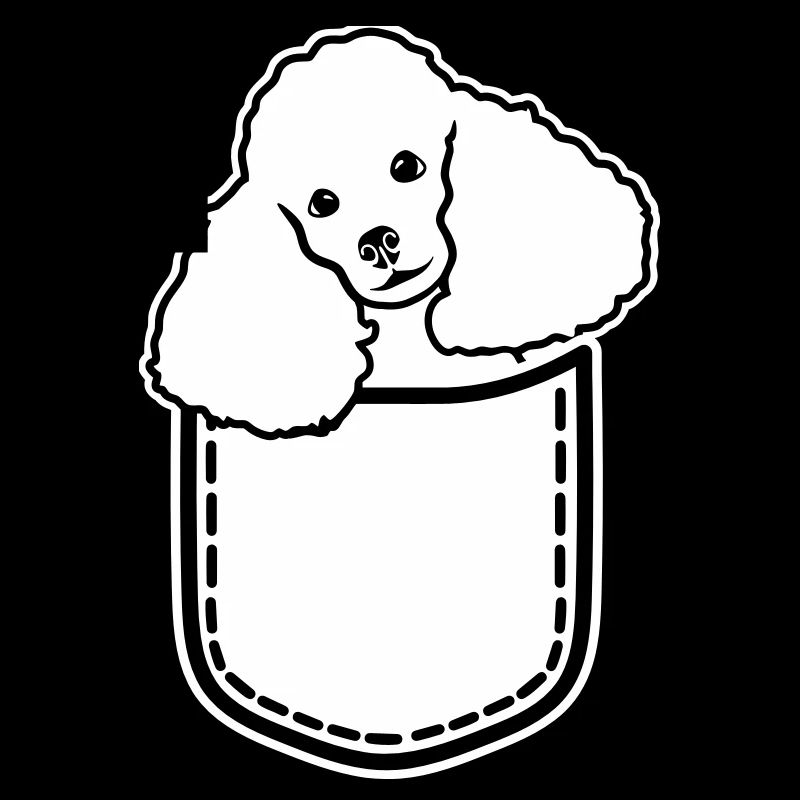 Caniche