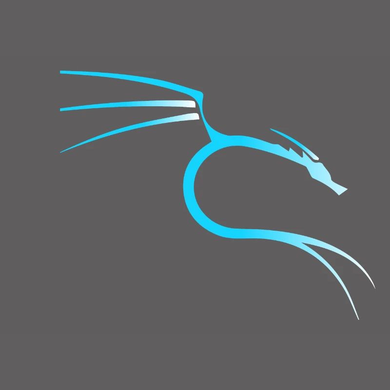 Kali Linux Dragon