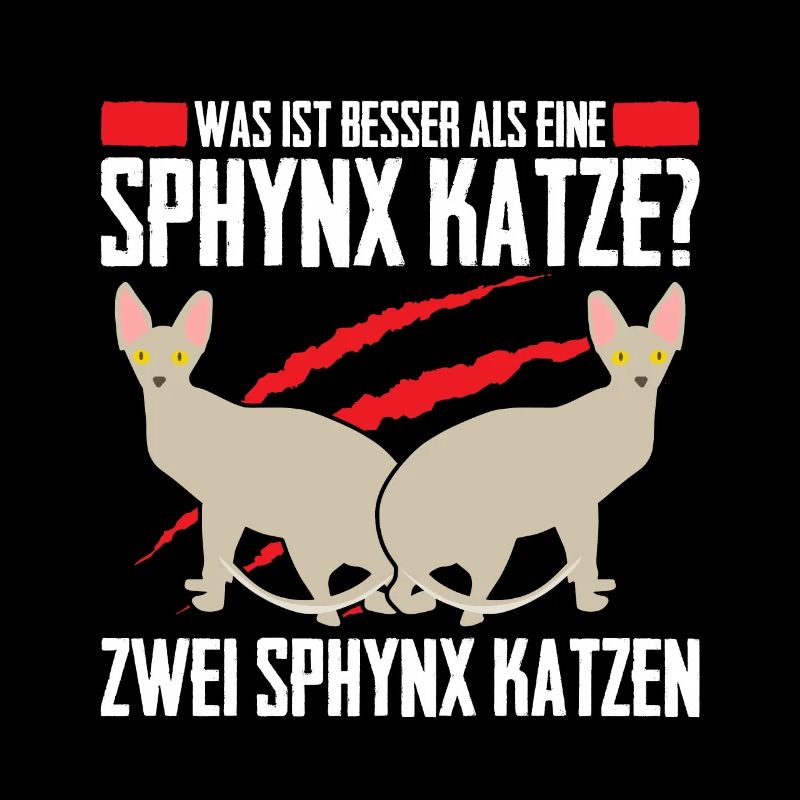 Was ist besser als eine Sphynx Katze? Zwei Sphynx