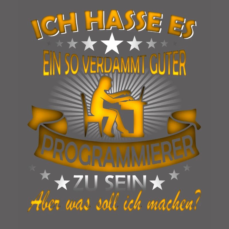 Software Ingenieur Informatiker Programmierer