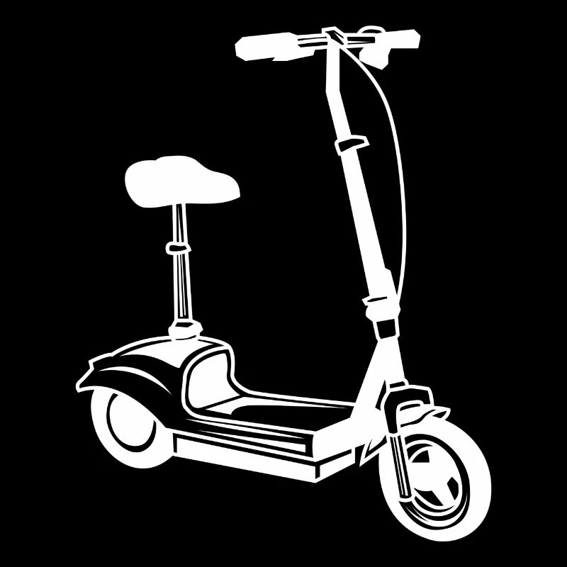 E Scooter Vélo électrique