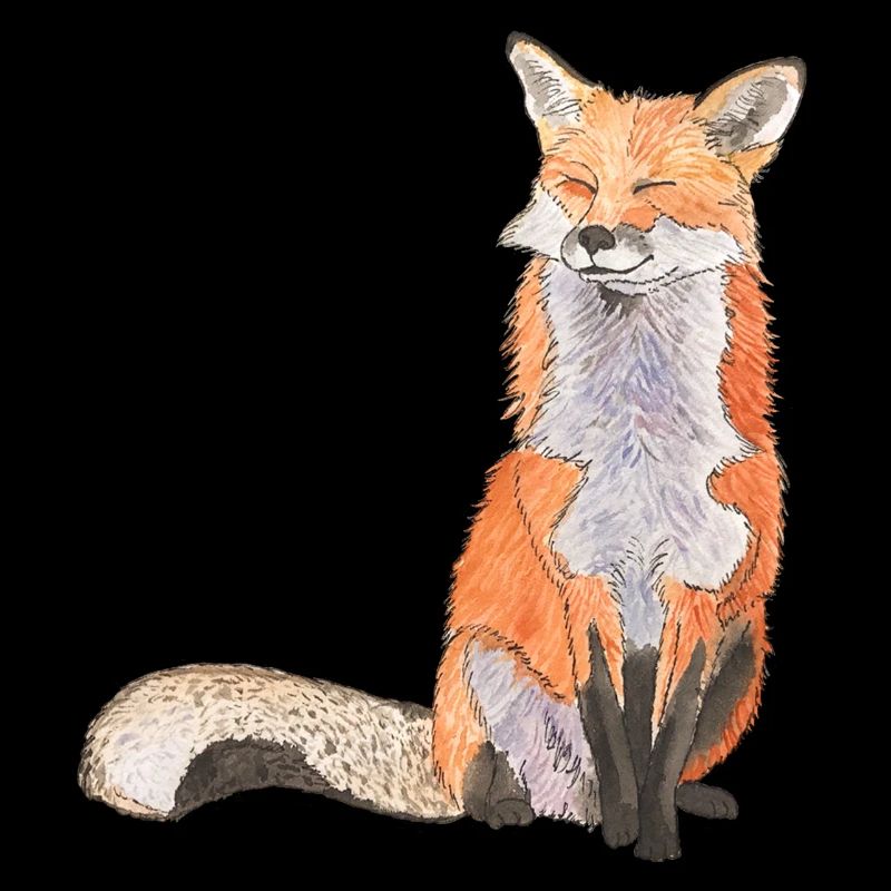 Fox sitting satisfait Renard intelligent