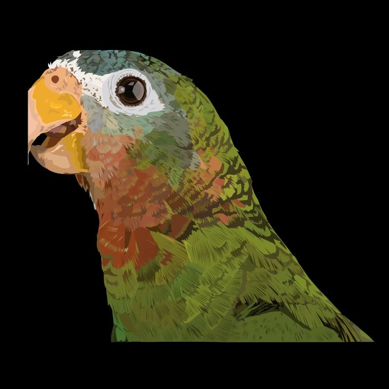 Amazonas mit gelber Rechnung