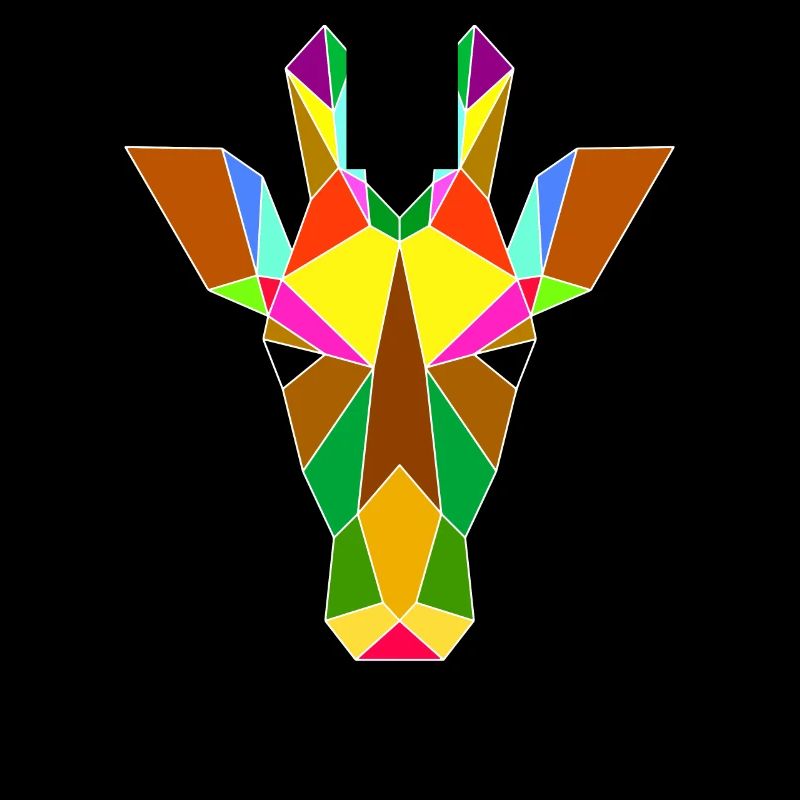 Giraffe geometry