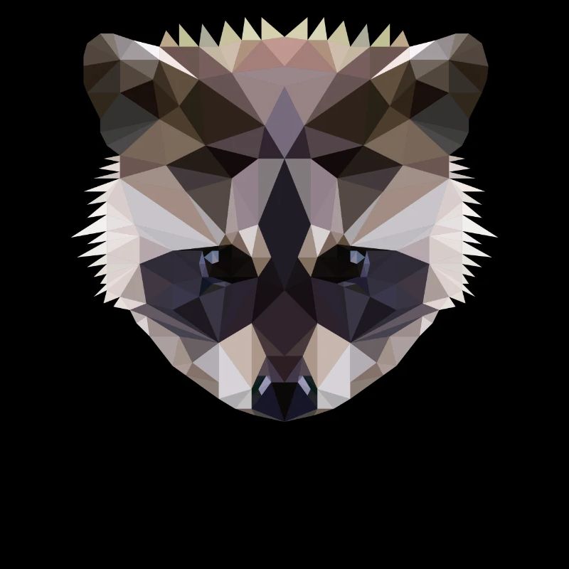 Polygon Waschbaer Racoon