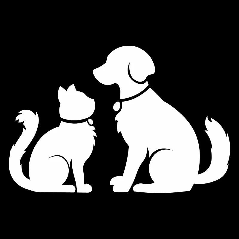Chat chien ensemble - chat chien ensemble - animaux de compagnie