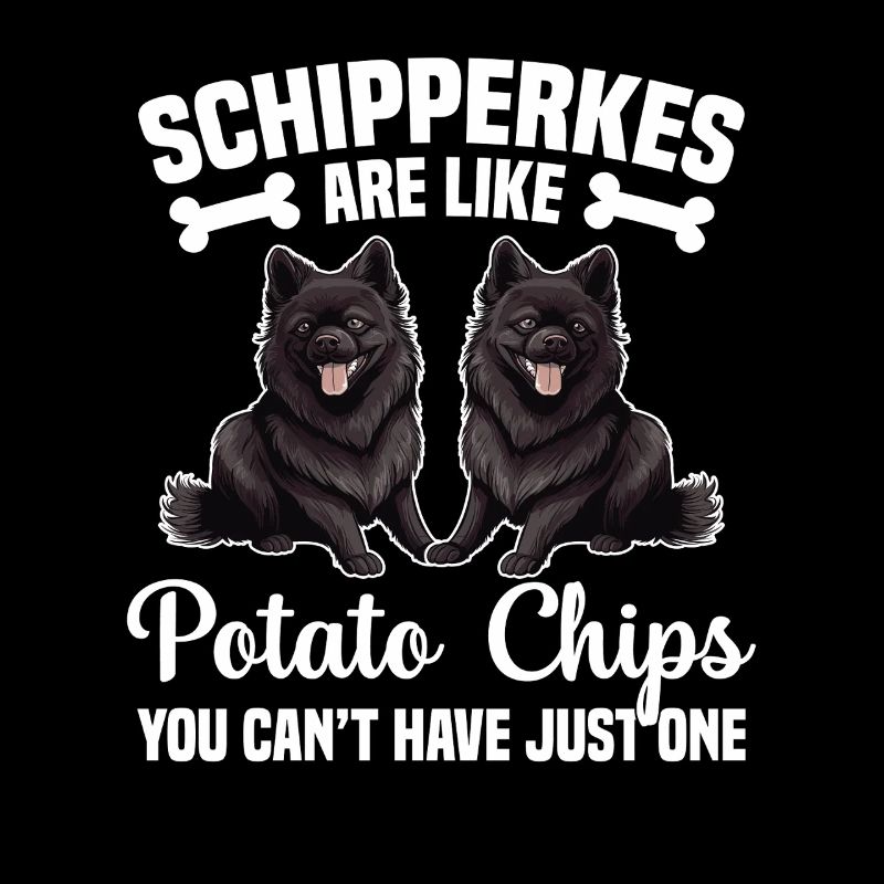 Les Schipperkes sont comme des chips que vous