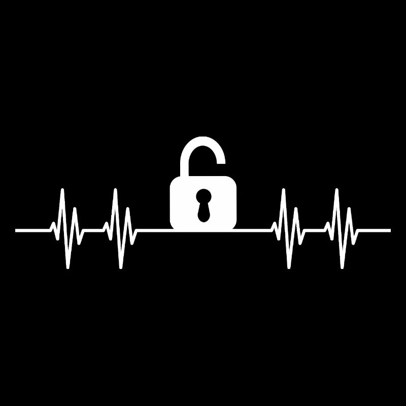 Lock Picker Lockpicking