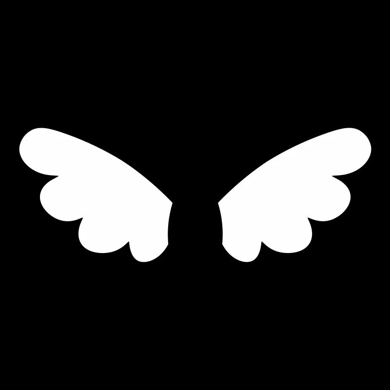 Ailes d'ange - ailes d'anges