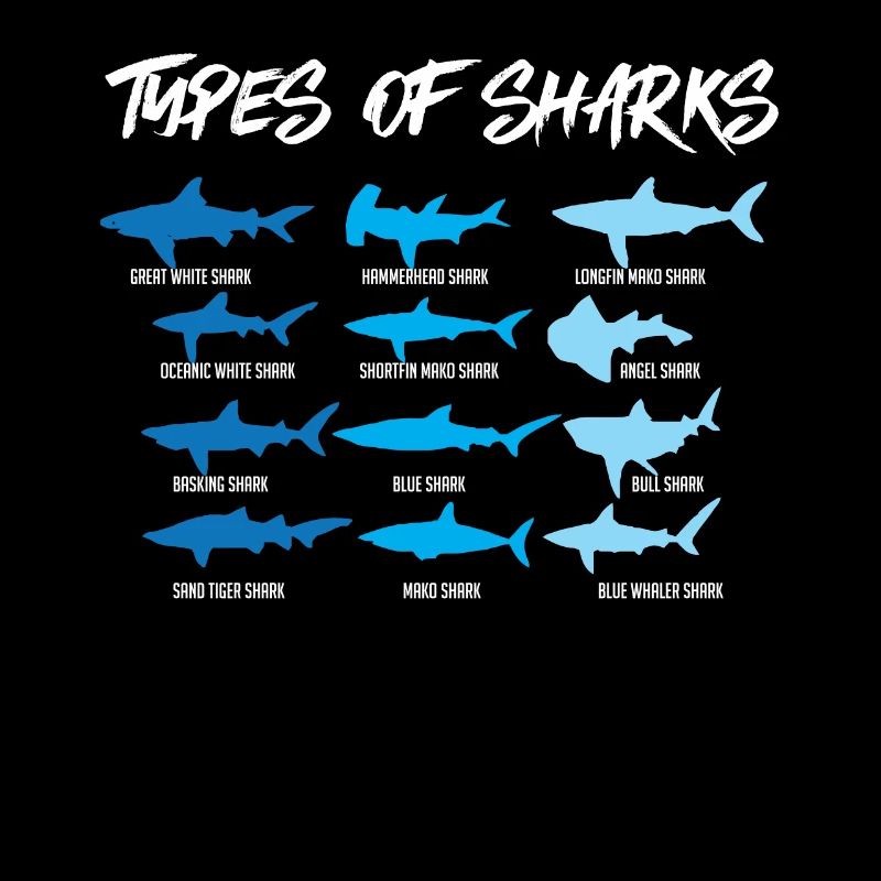 Requin Espèces de sharks, requin-marteau,bâche