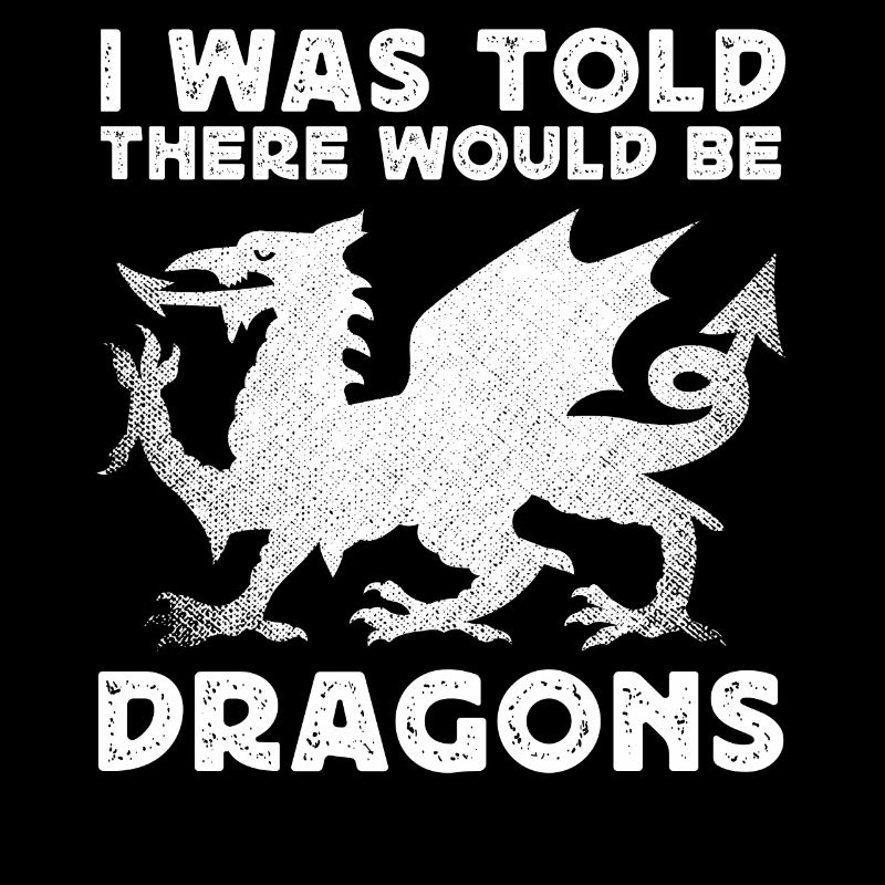 I was told that there would be dragons