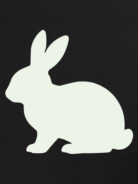 Silhouette délicate du lapin