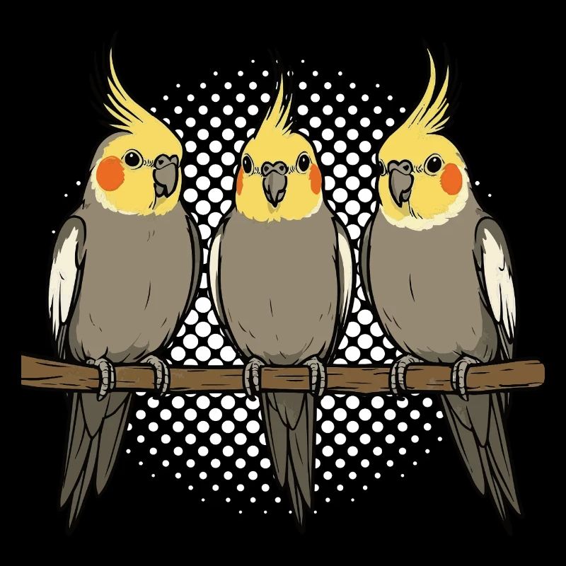 Calopsitte Calopsitte Calopsitte Oiseau calopsitte
