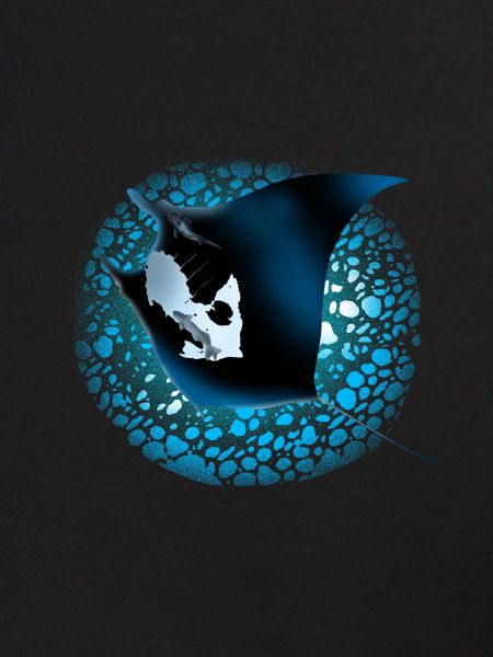 manta