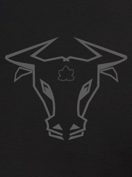 Stier_002a