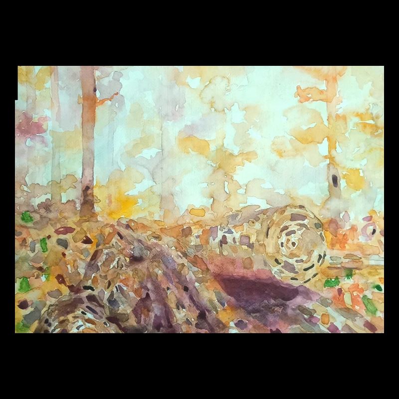 Paysage aquarelle forestier automne