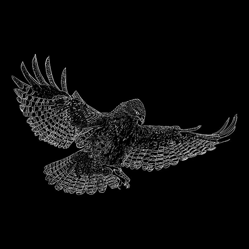 Mäusebussard, Greifvogel gezeichnet (stilisiert)