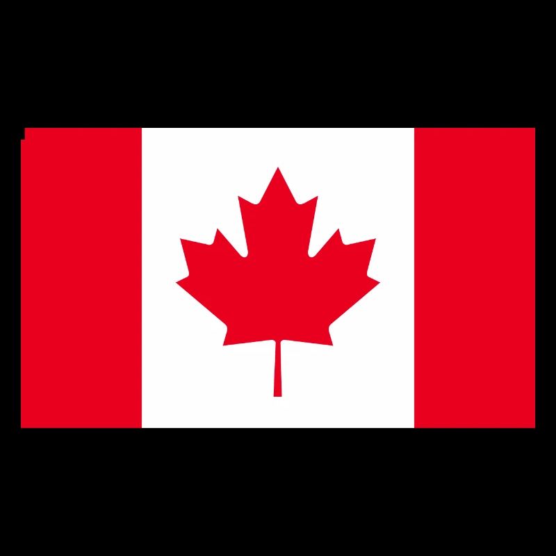 Obtenez nos drapeaux du Canada maintenant