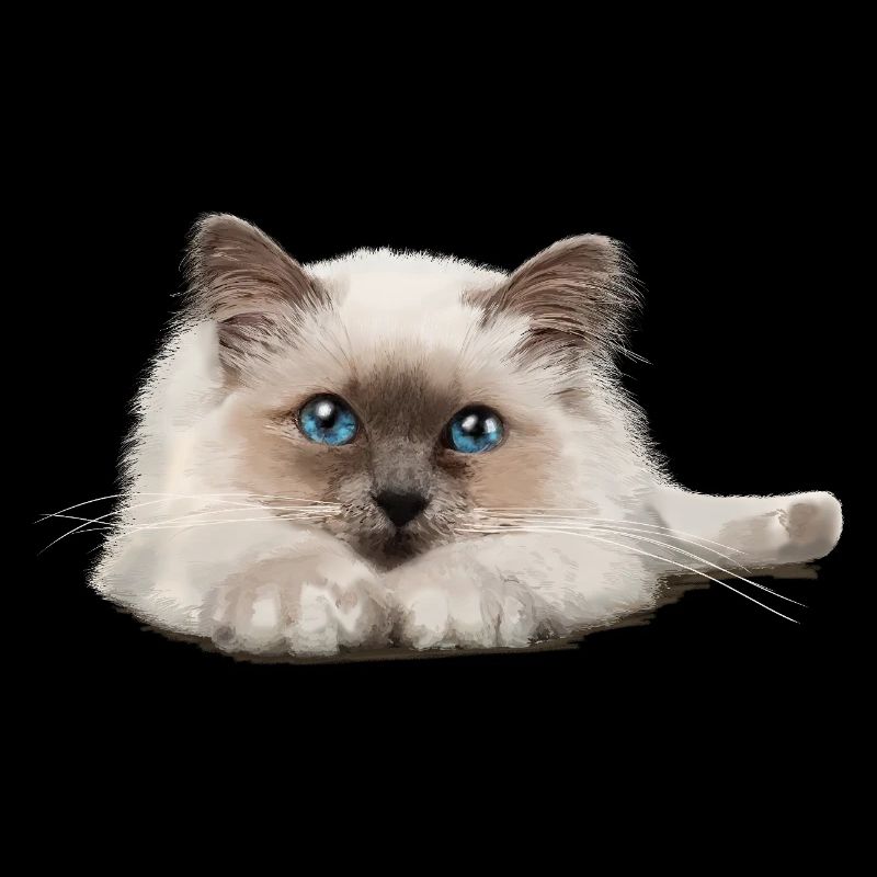Blue-eyed cat resting