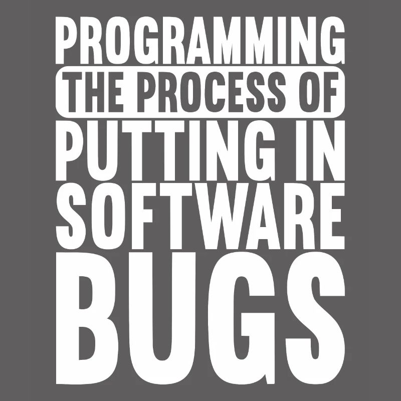 Programmer Computer Scientist