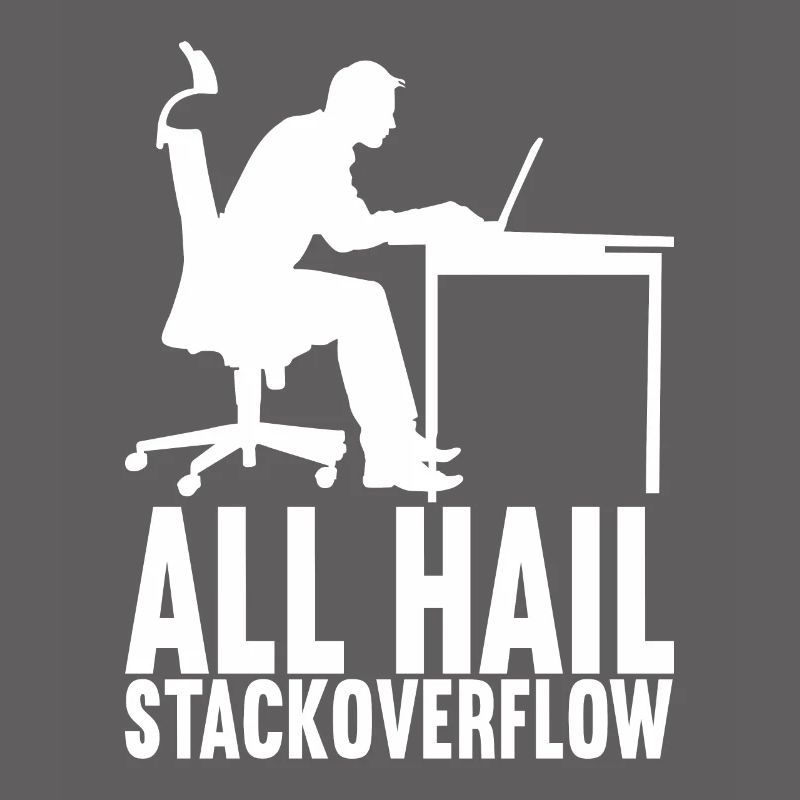 Programmer Computer Scientist