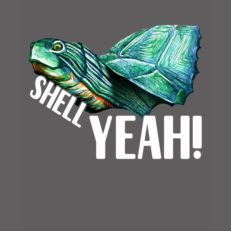 Turtle Turtle Aquatic turtle